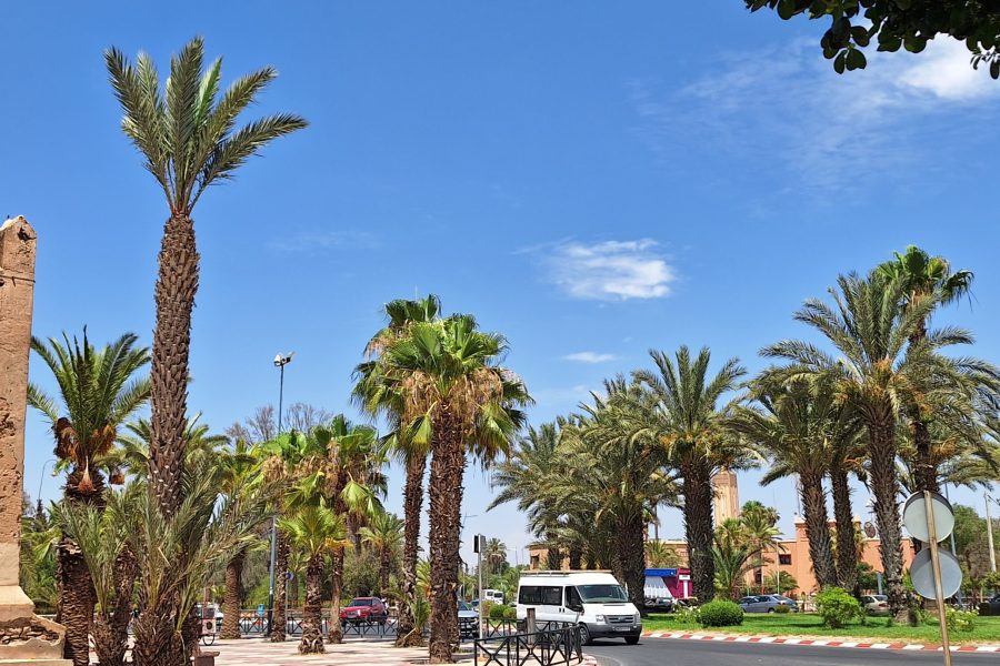 taroudant